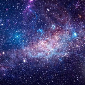 Meet your Posher, Benjamin